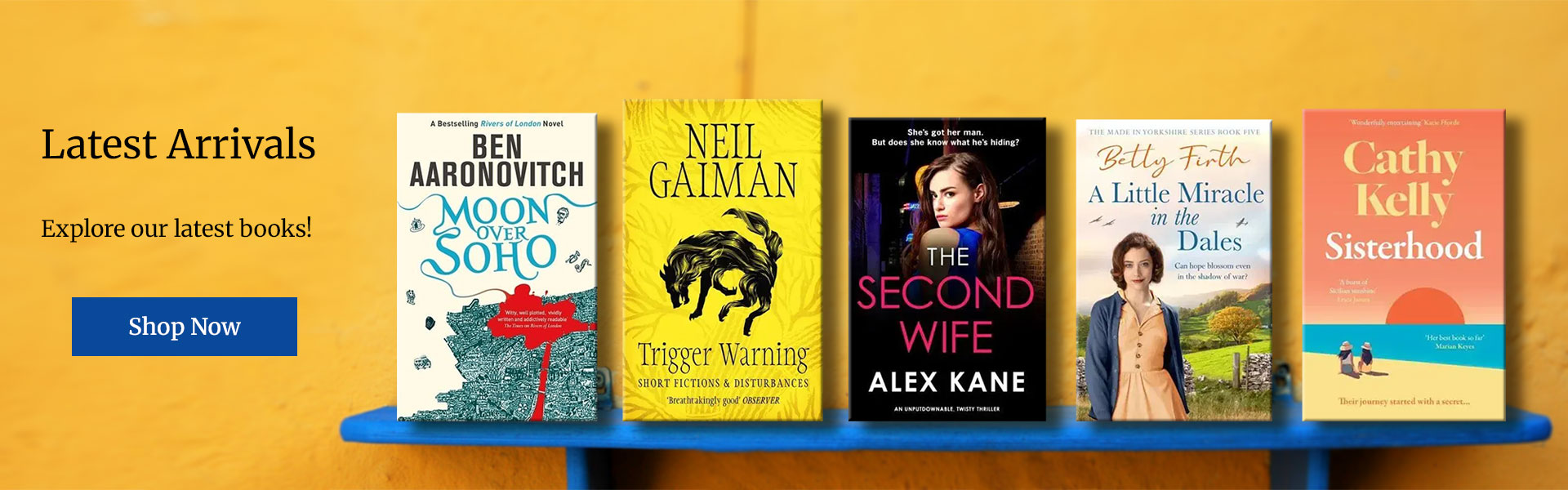BookWise Online, Bargain Book Specialists. Book bundles at discount ...