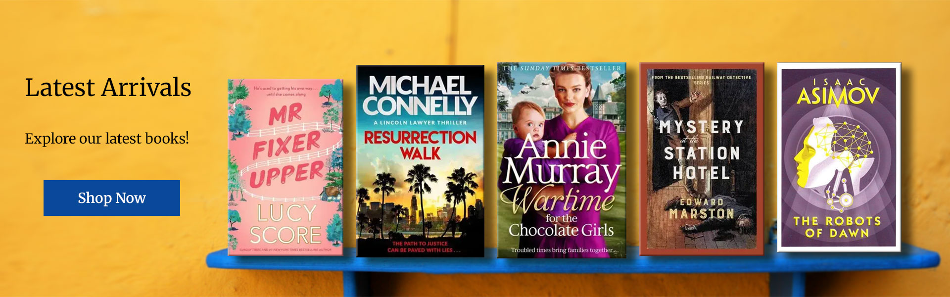 BookWise Online, Bargain Book Specialists. Book bundles at discount ...