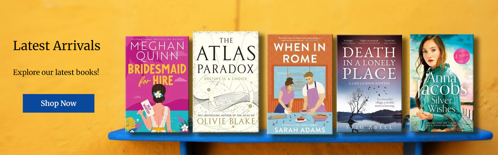 BookWise Online, Bargain Book Specialists. Book bundles at discount ...